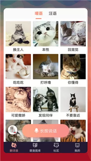 猫语翻译器