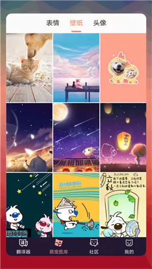 猫语翻译器