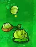 植物大战僵尸胆小菇之梦版