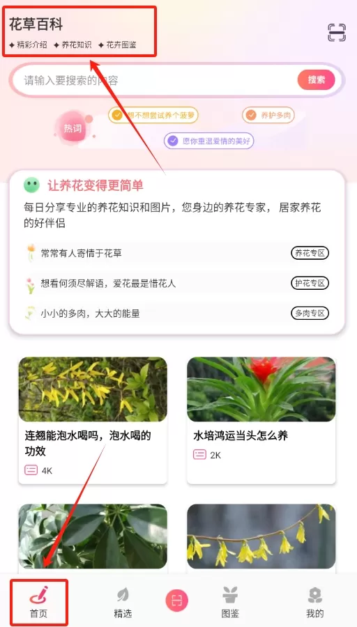 养花大掌柜