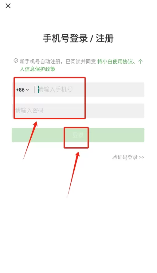 特小白
