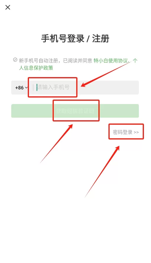 特小白