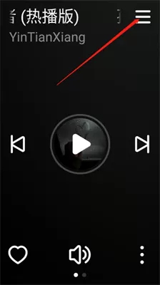 网易云音乐wear版