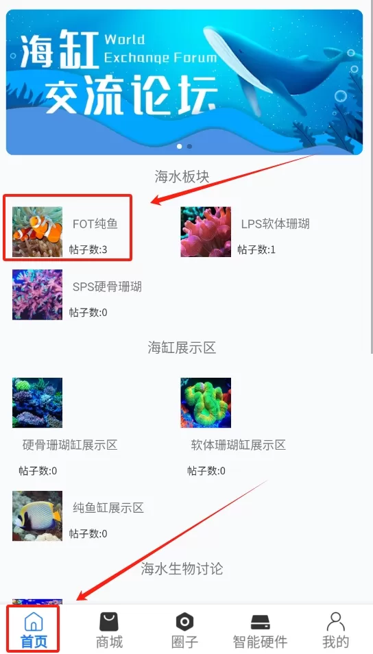 七曜水族