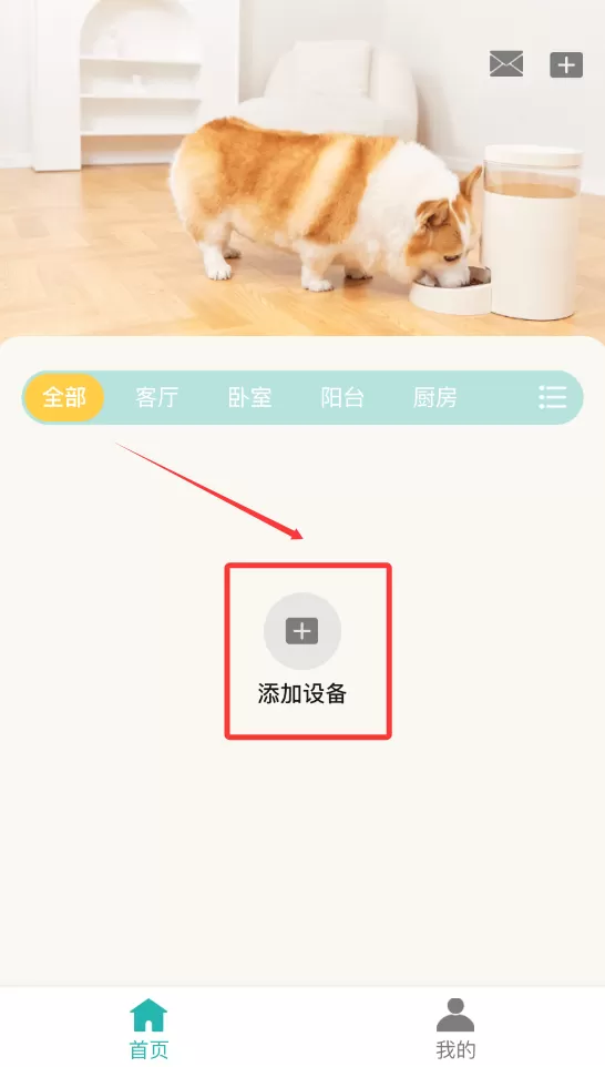 莱森宠物