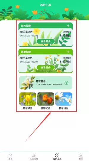 点点花儿