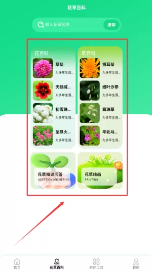 点点花儿