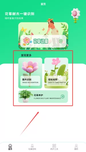 点点花儿
