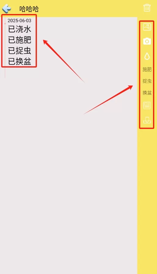 花草多肉日记