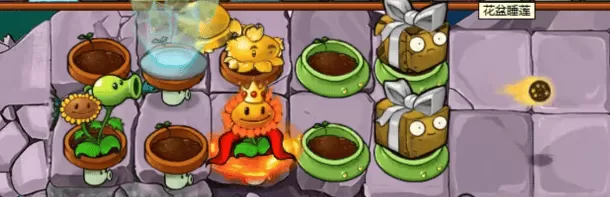 植物大战僵尸杂交版2.3.7版本