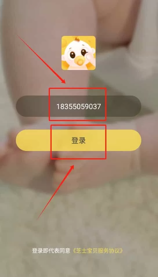 芝士宝贝