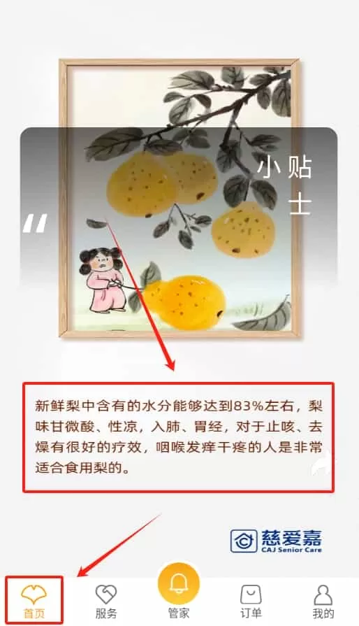 银杏家养老