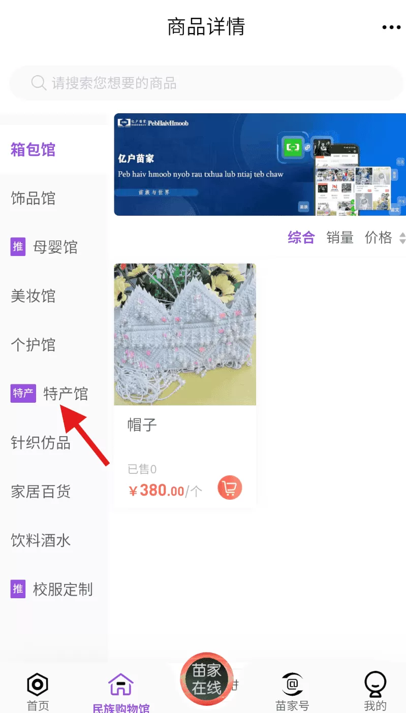 亿户苗家