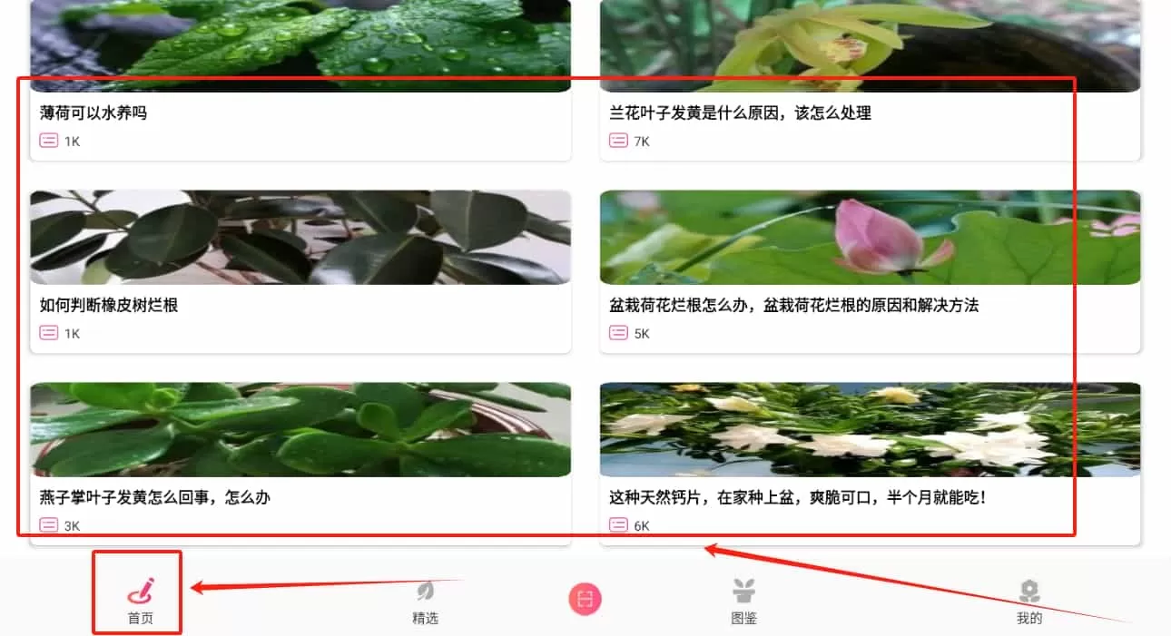 养花宝
