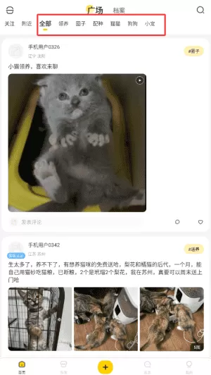 有只宠物