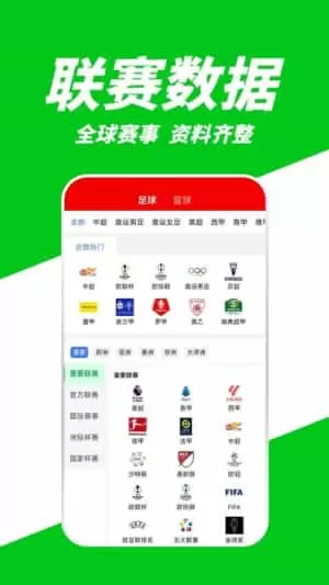 有球看