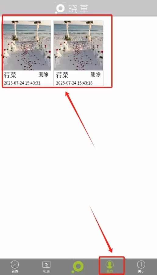 晓草草原植物识别