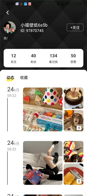 小喵壁纸