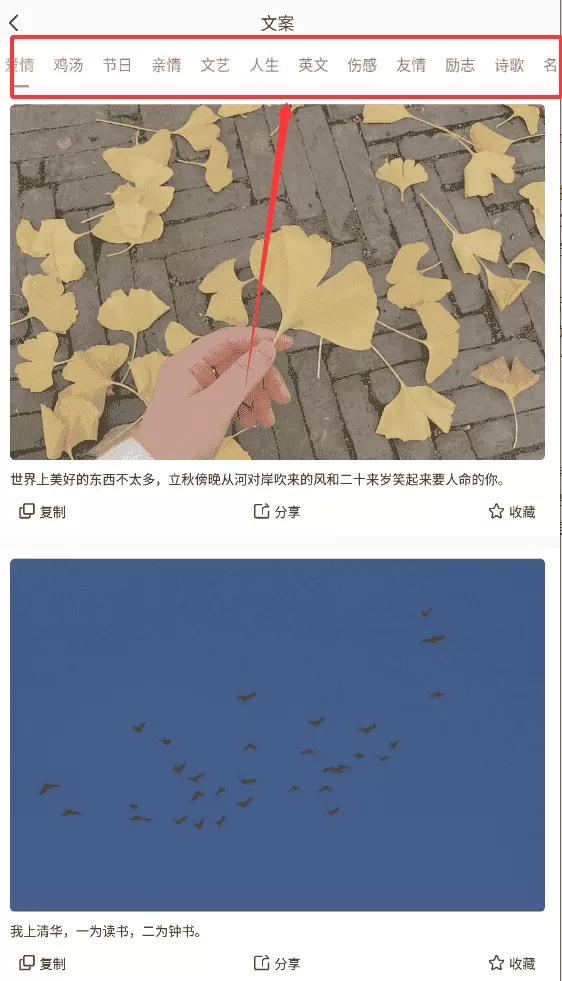 素记