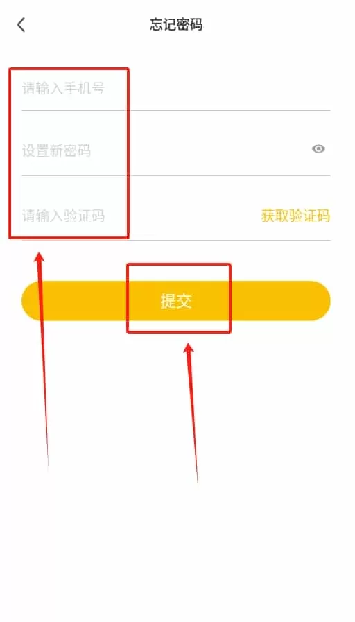 派师傅