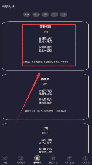 鸟儿图书馆