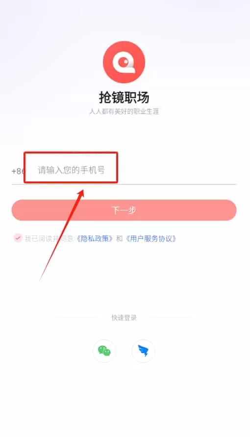 抢镜职场
