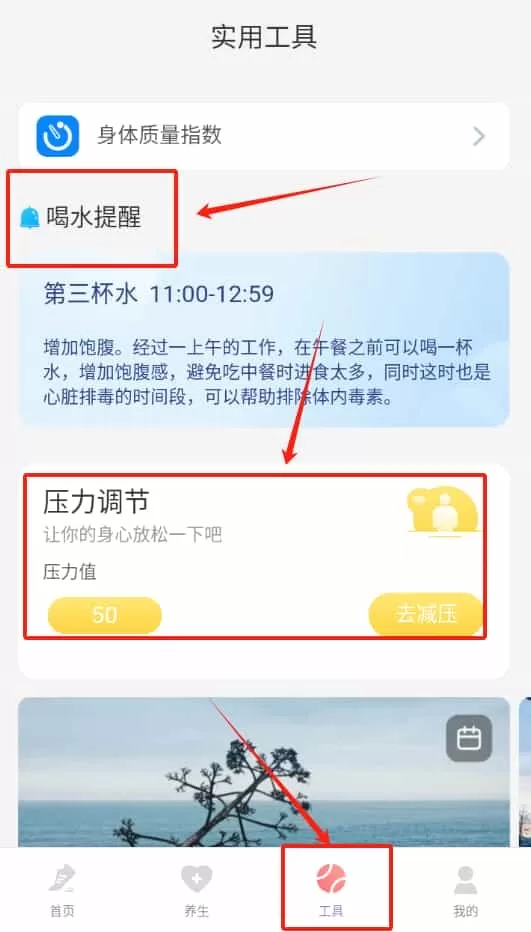 计步伴侣