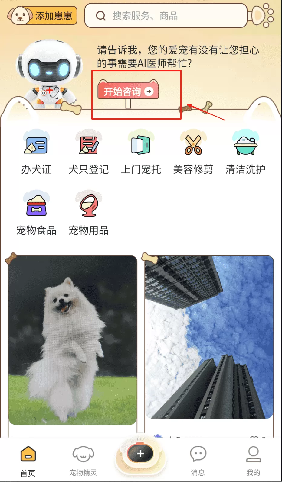 惠养宠