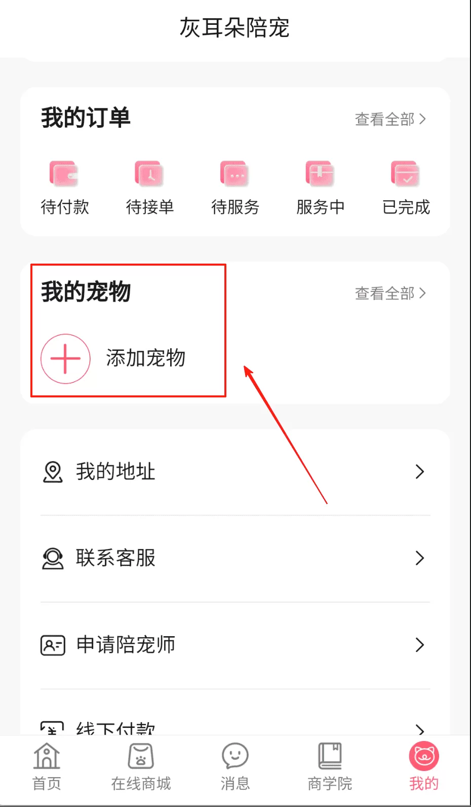 灰耳朵陪宠