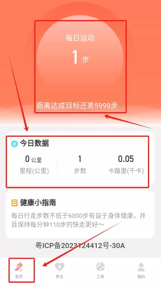 计步伴侣