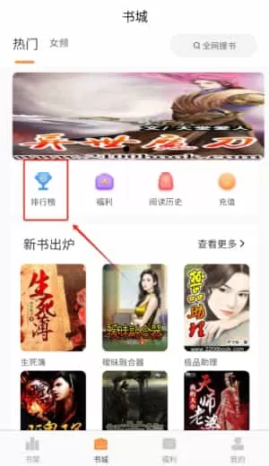 佳音小说