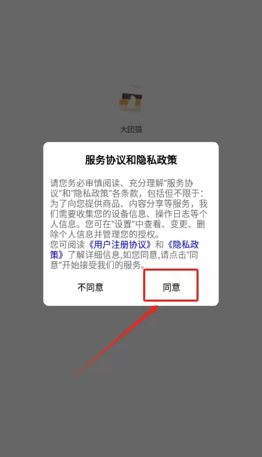 大团猫