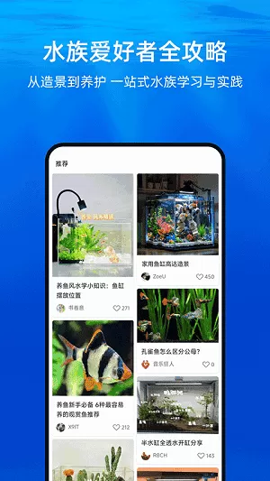 当贝鱼缸