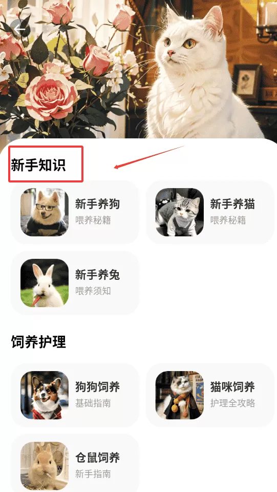 宠物百科大全