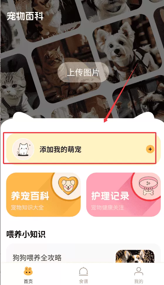 宠物百科大全