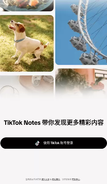 tiktok notes