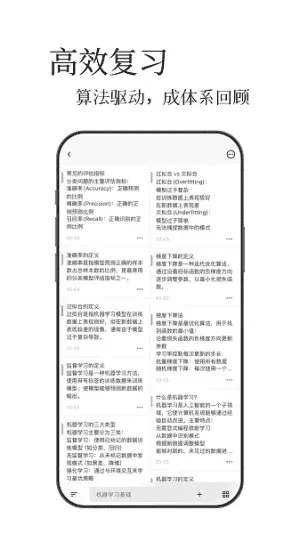 noolingo