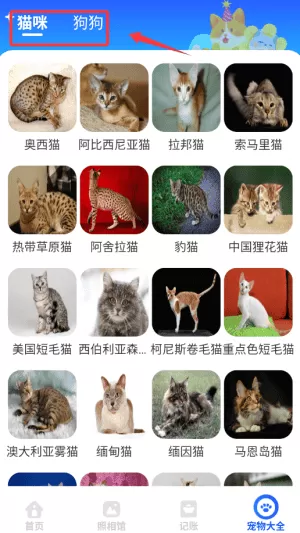 安康血糖血压仪