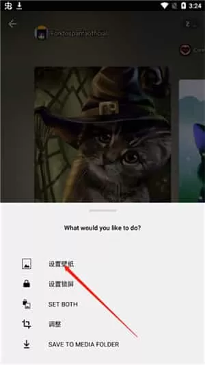 zedge
