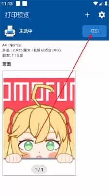 NokoPrint中文版