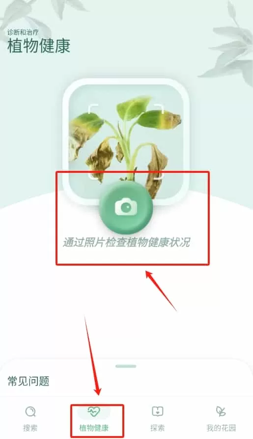 blossom植物识别神器