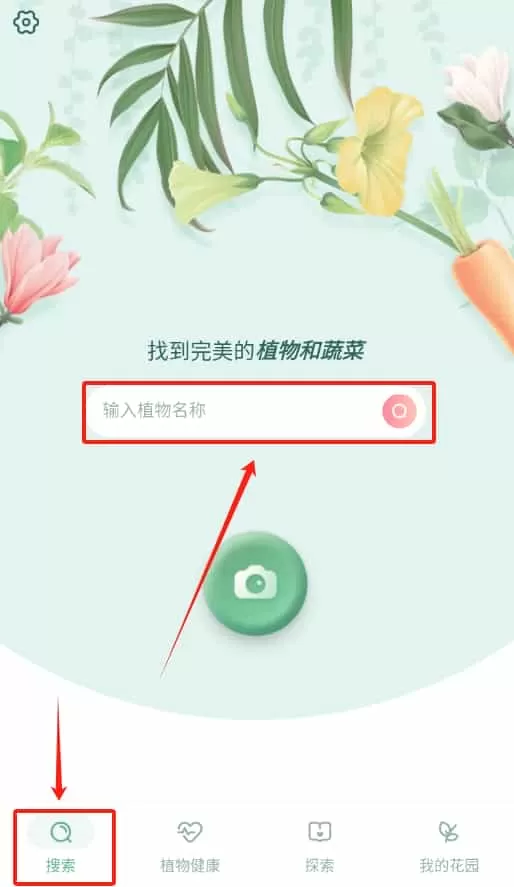 blossom植物识别神器