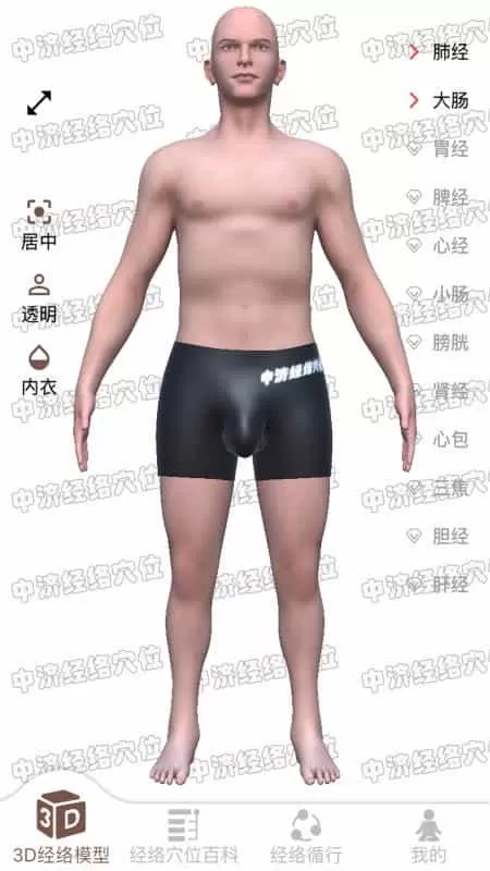 经络穴位3D