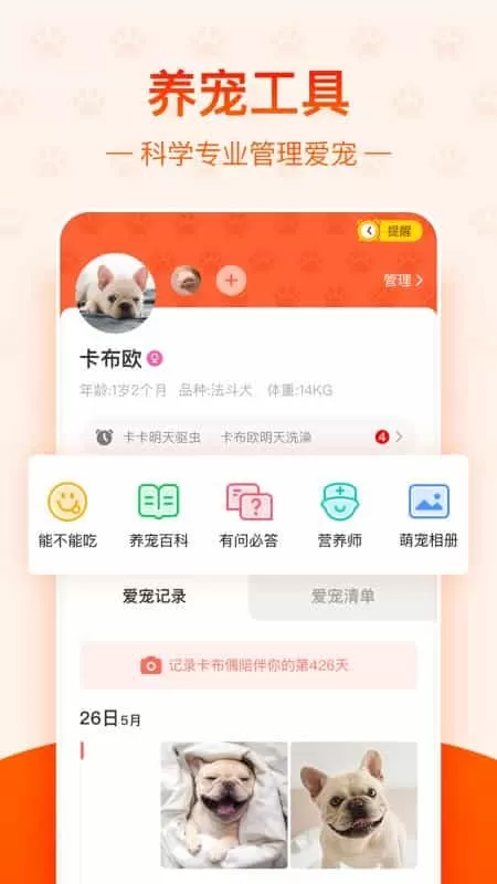 宠小帮