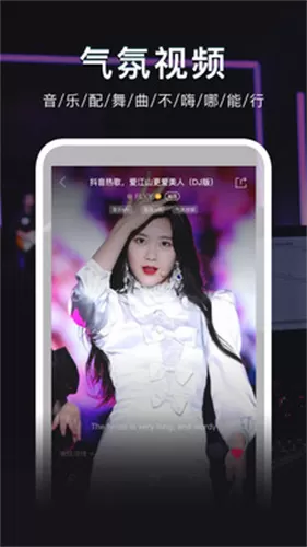 dj秀