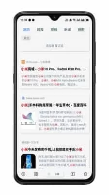 Rains浏览器老版本
