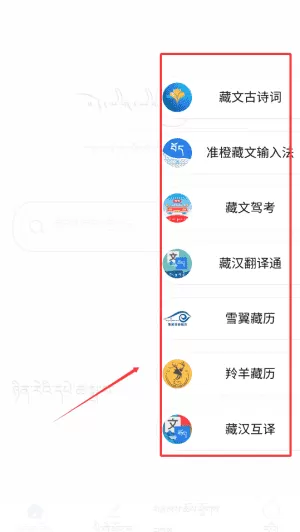 藏文练字大师