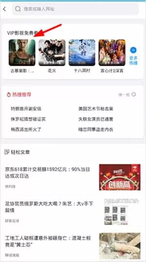VIP浏览器
