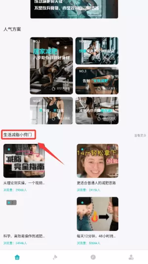 薄荷热量