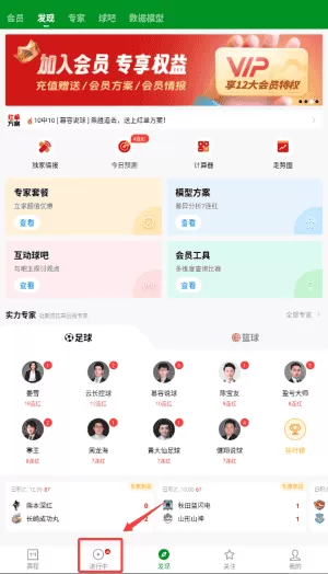 大象比分